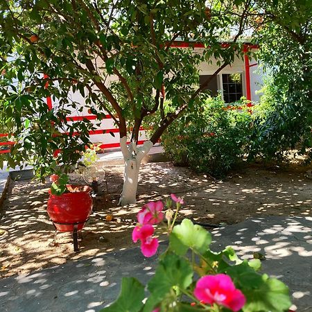 Cottonclub Villas 托隆 外观 照片