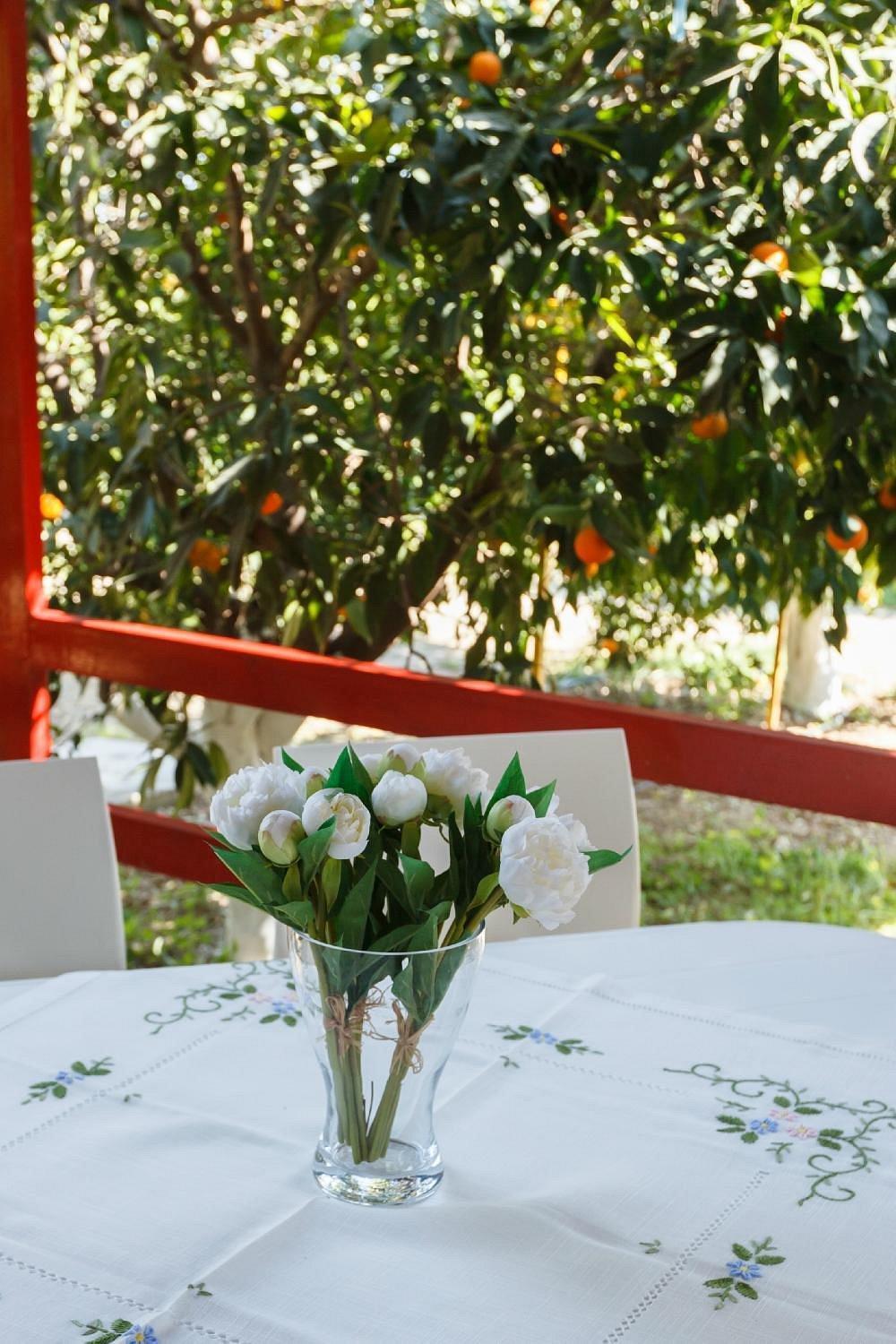 Cottonclub Villas 托隆 外观 照片