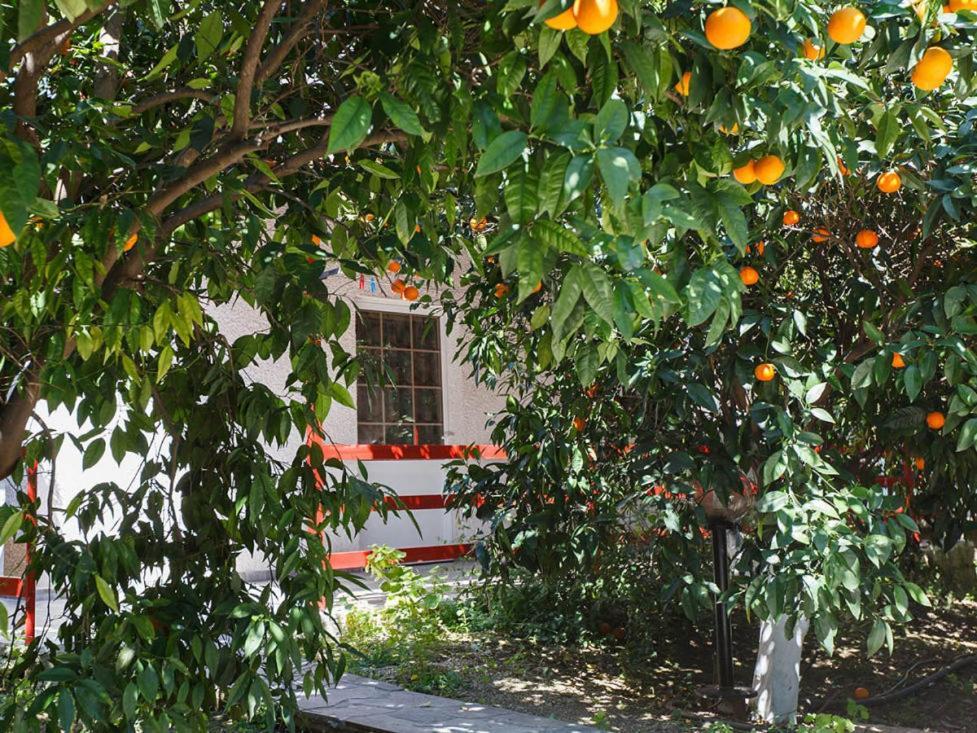 Cottonclub Villas 托隆 外观 照片