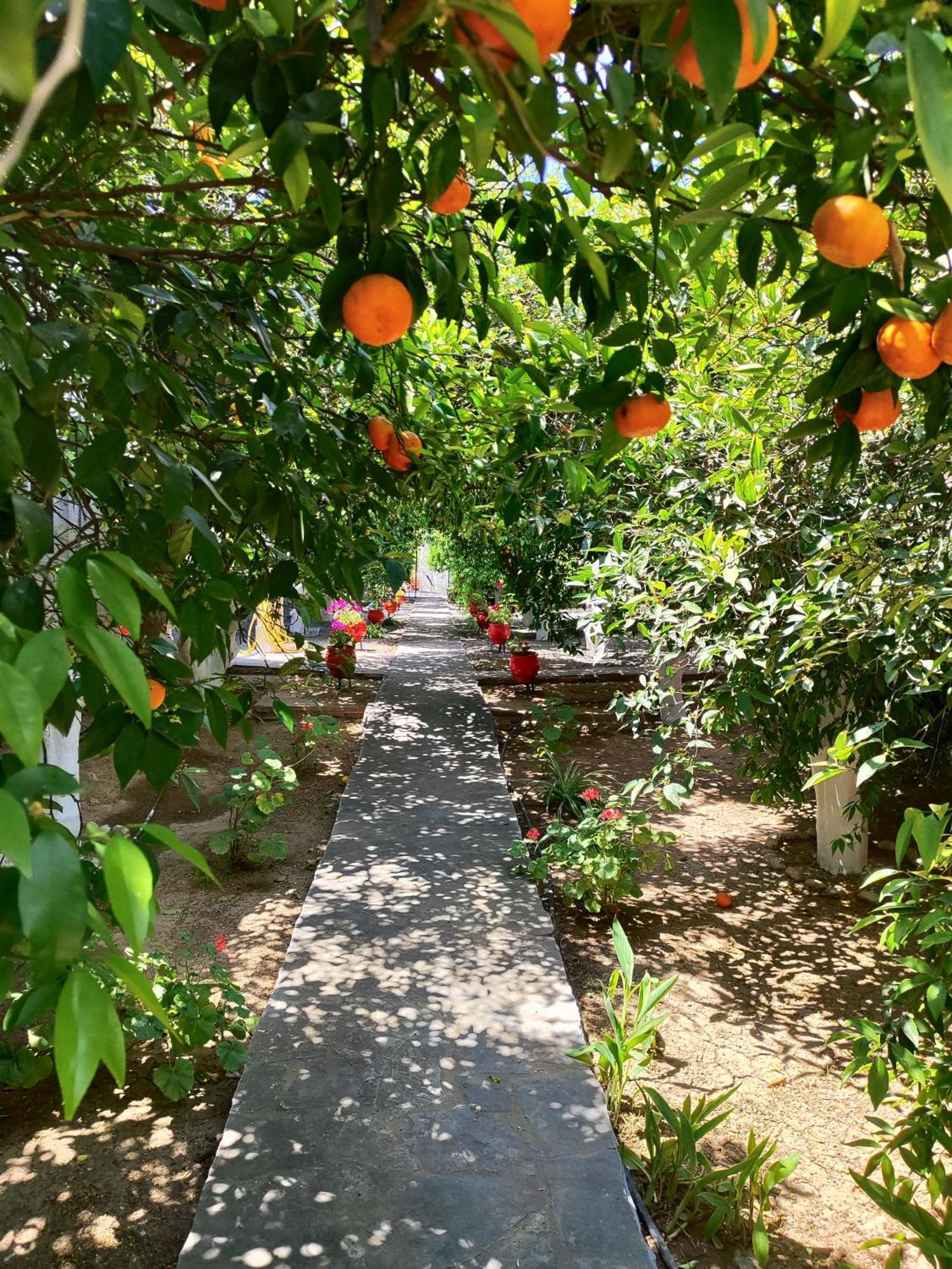 Cottonclub Villas 托隆 外观 照片