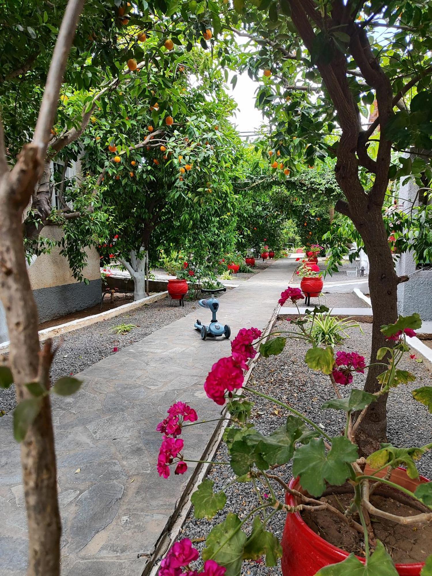 Cottonclub Villas 托隆 外观 照片