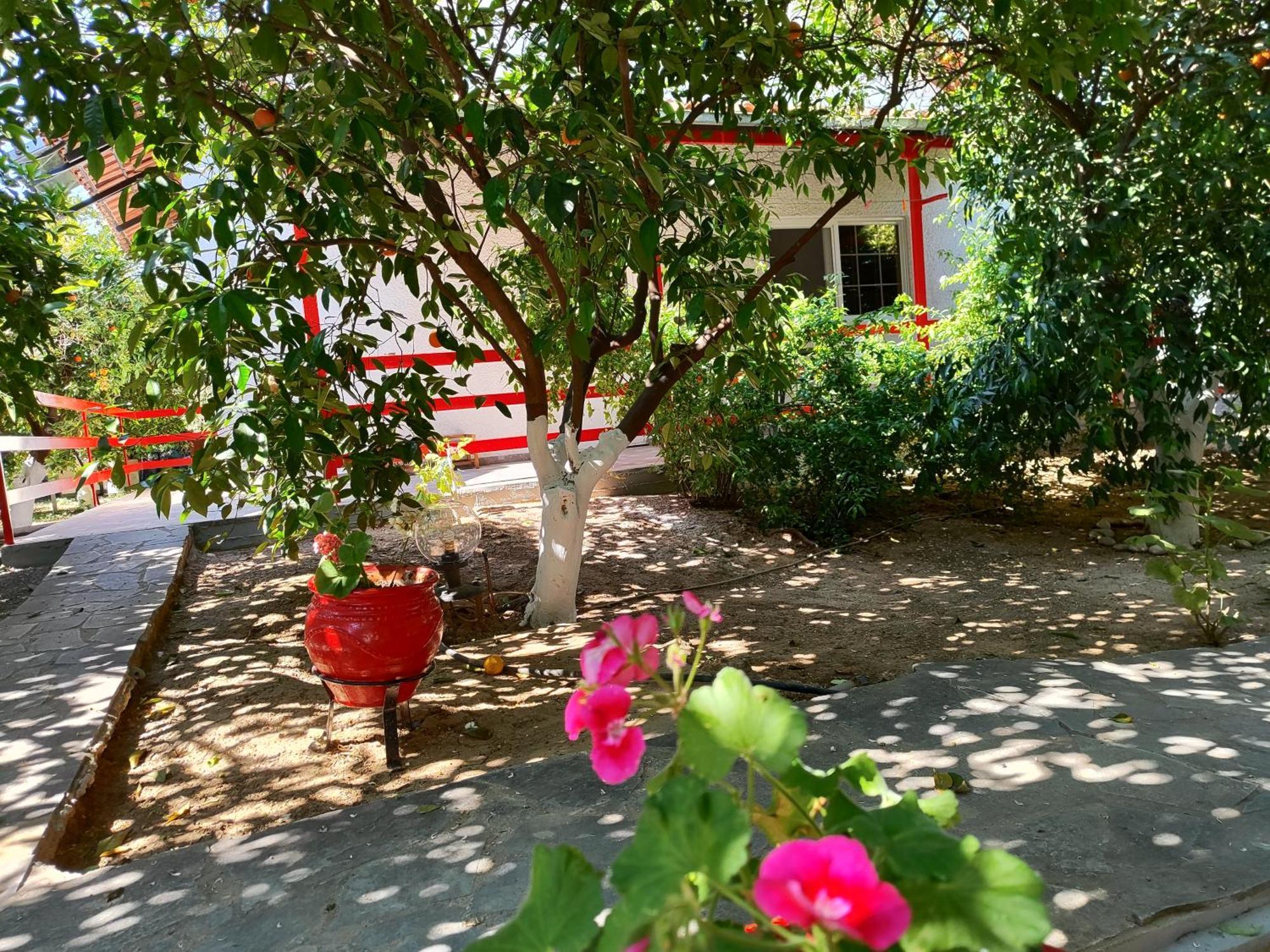 Cottonclub Villas 托隆 外观 照片