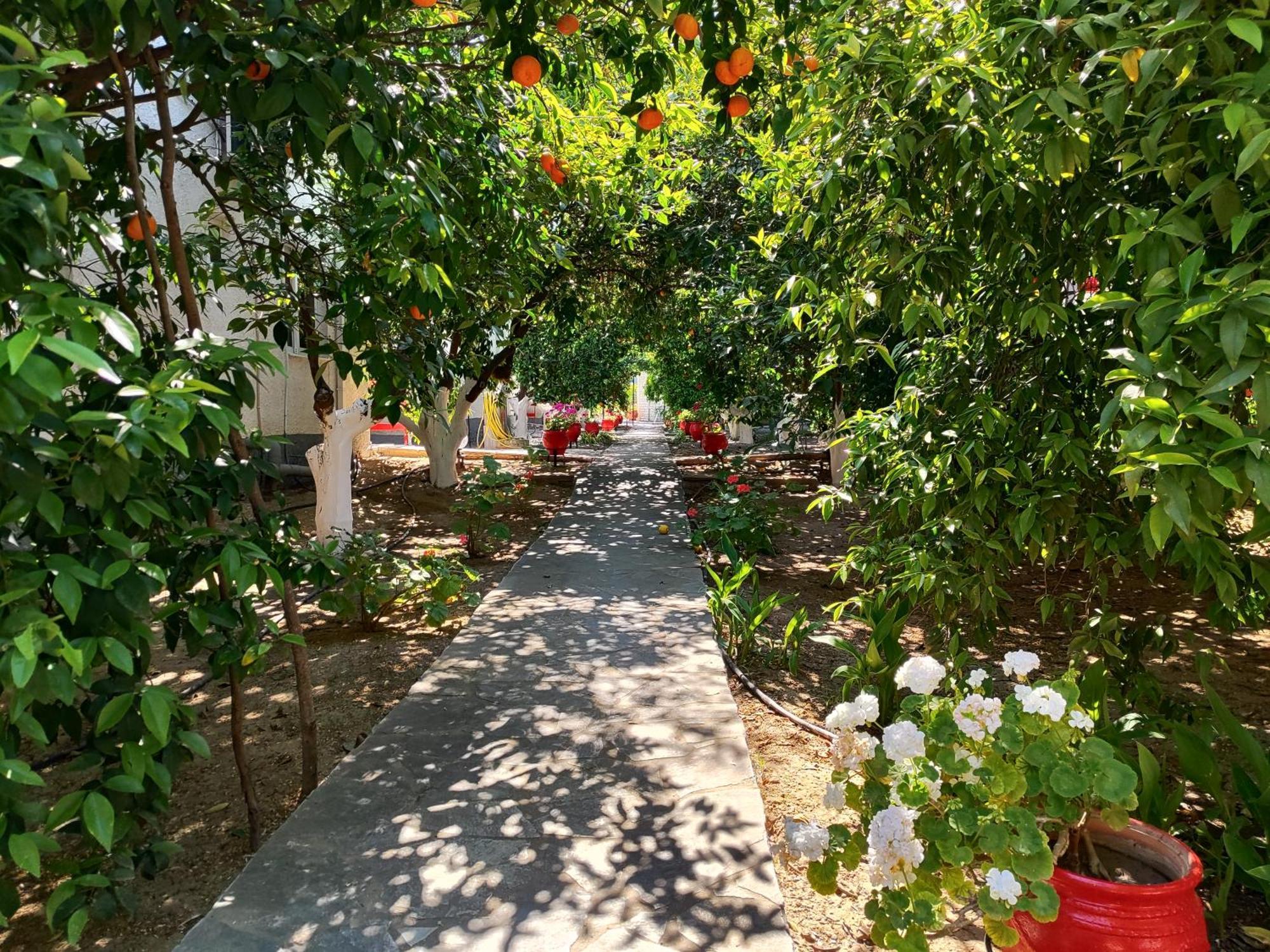 Cottonclub Villas 托隆 外观 照片