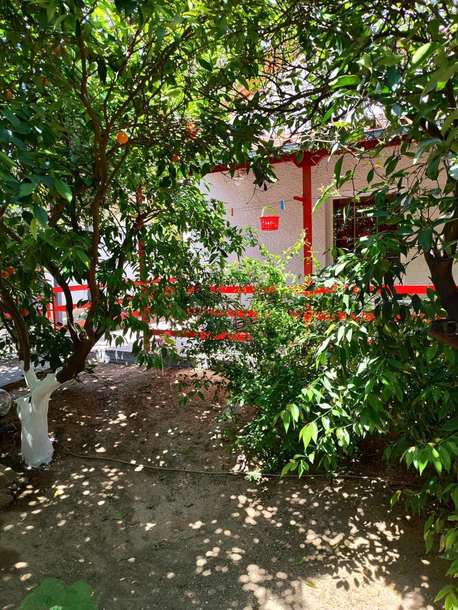 Cottonclub Villas 托隆 外观 照片