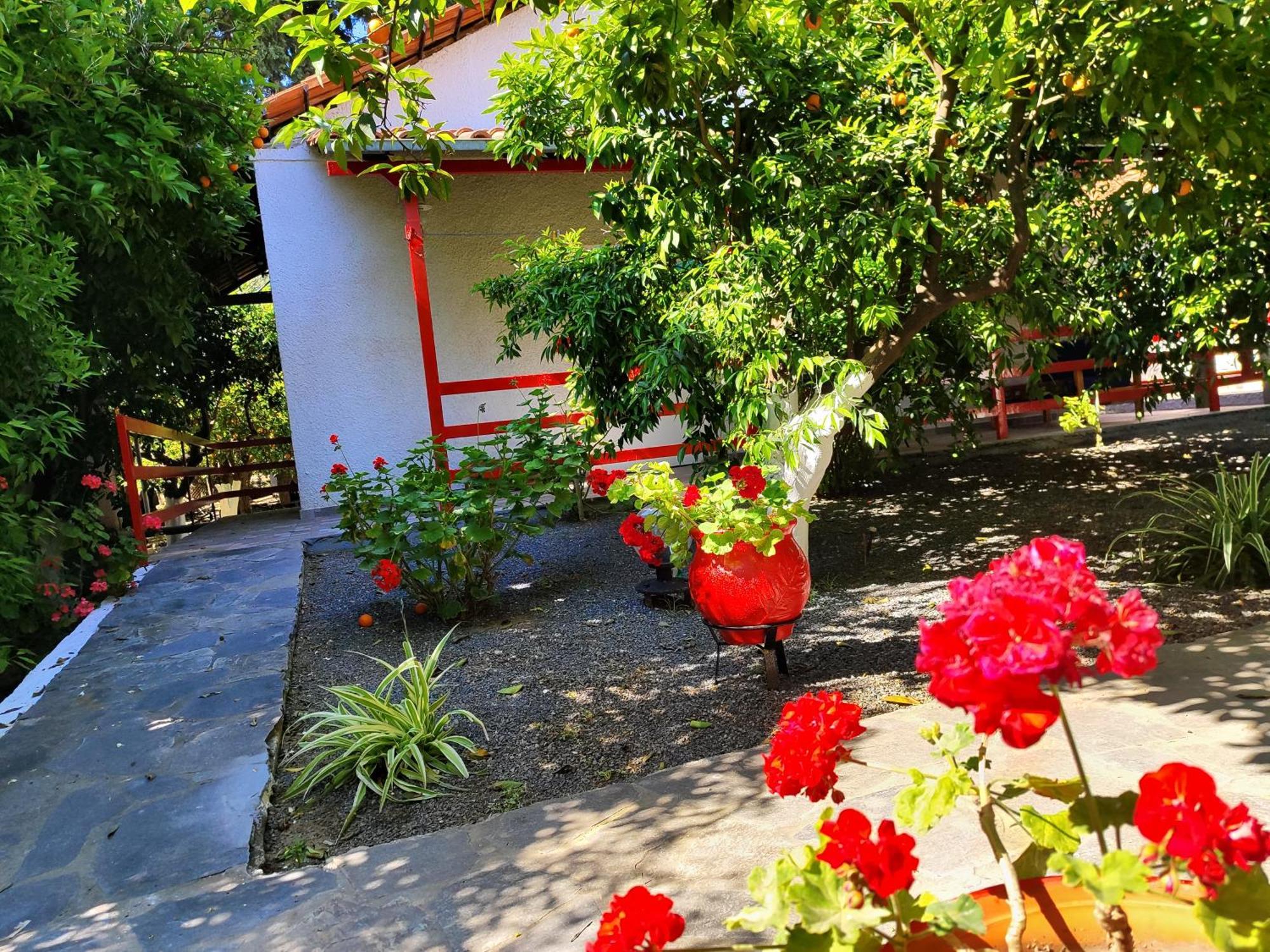 Cottonclub Villas 托隆 外观 照片