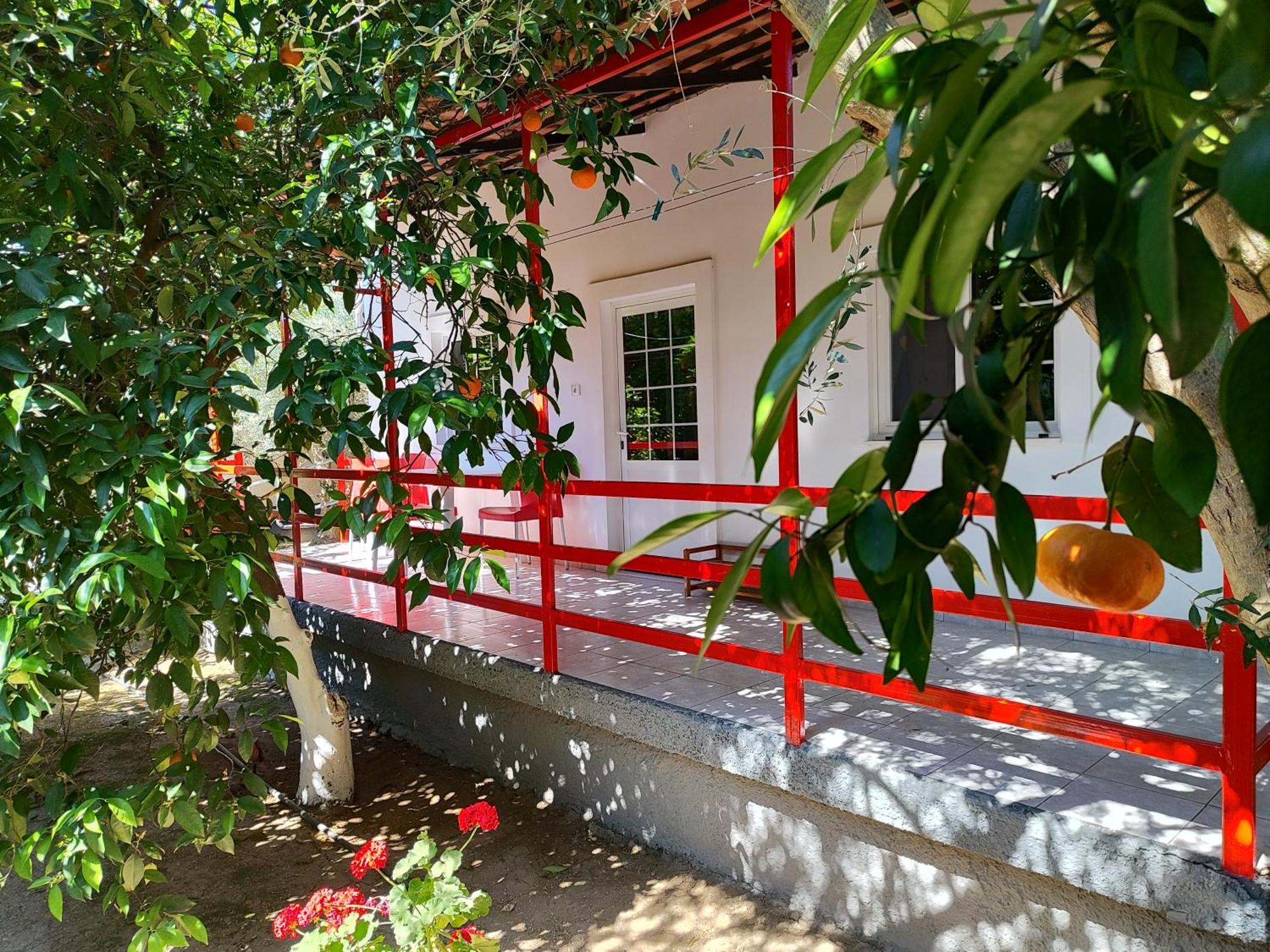 Cottonclub Villas 托隆 外观 照片